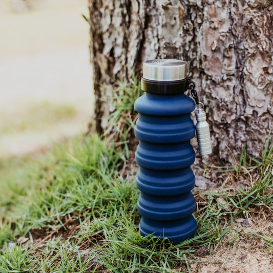 Collapsible Water Bottle & Mini Flashlight Set