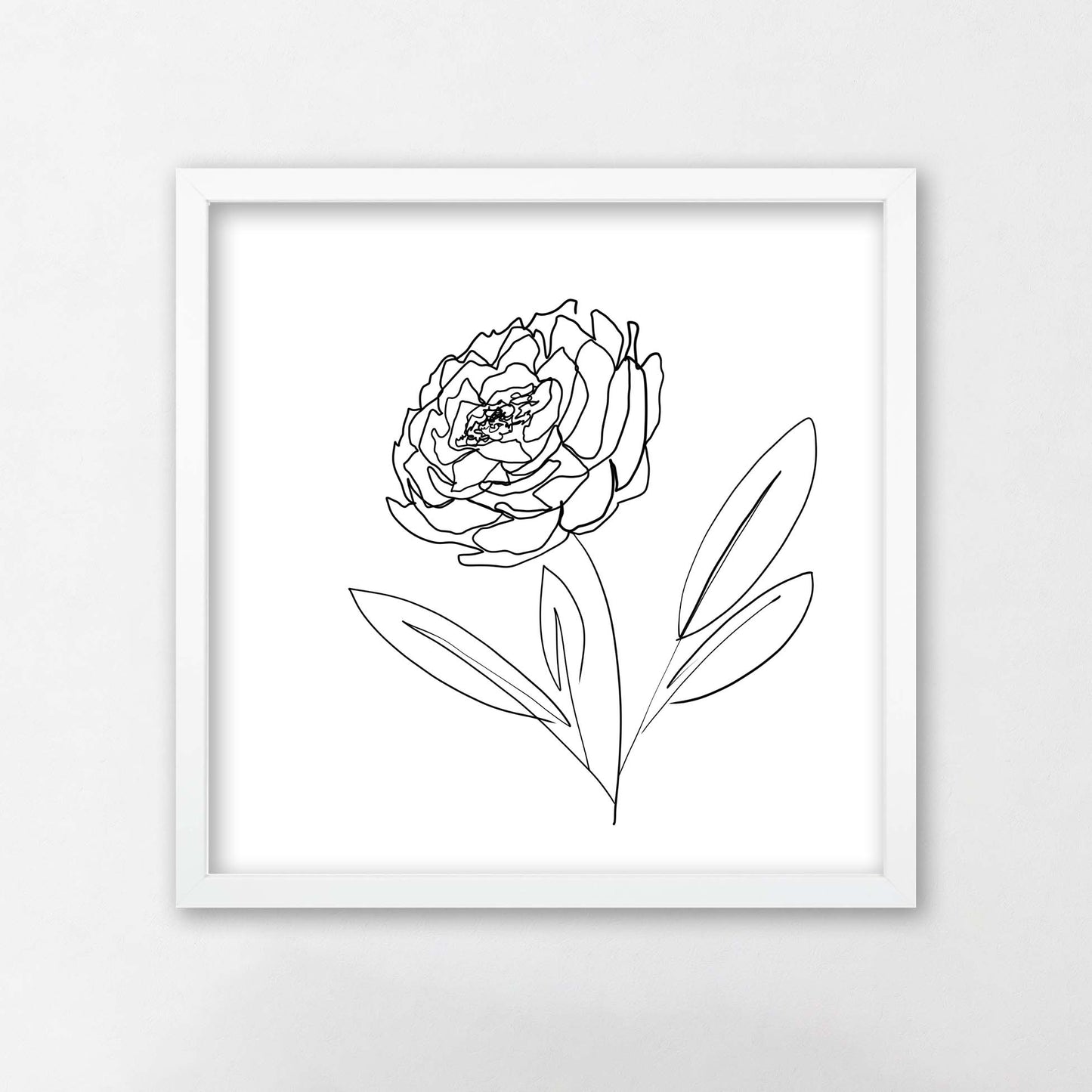Floral Line Art- Peony