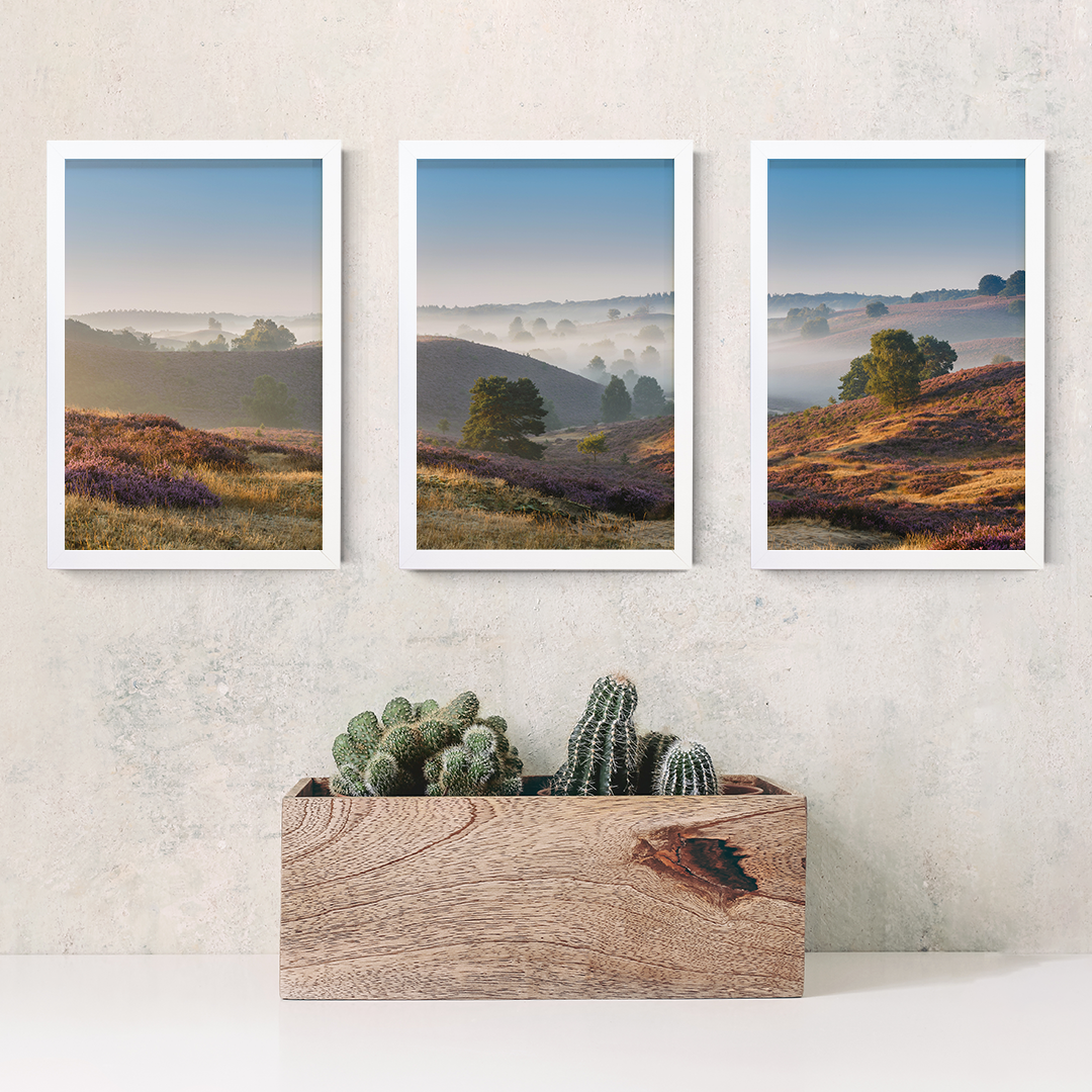 Open Spaces Triptych