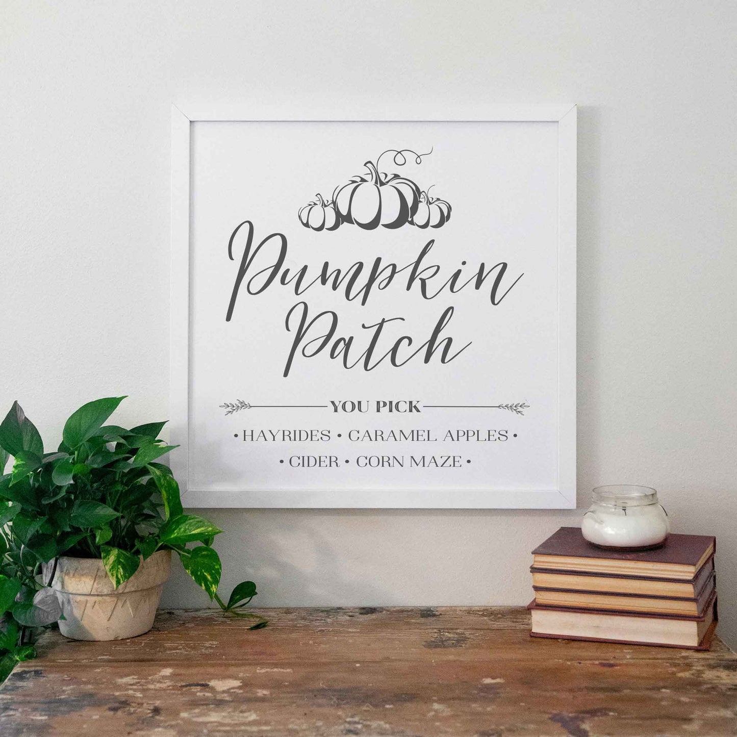 Pumpkin Patch You Pick