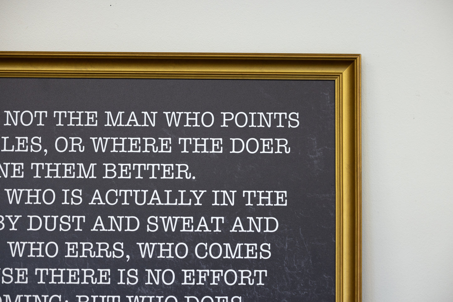 Man in the Arena