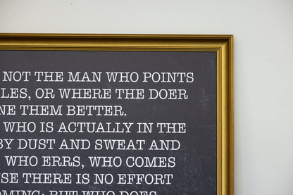 Man in the Arena