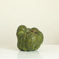Green Heirloom Pumpkin, 6 Sizes