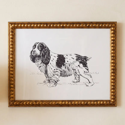 Spaniel Portrait framed print in a Black Large Gold Bead frame
