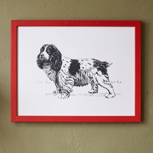 Spaniel Portrait framed print in a Red frame