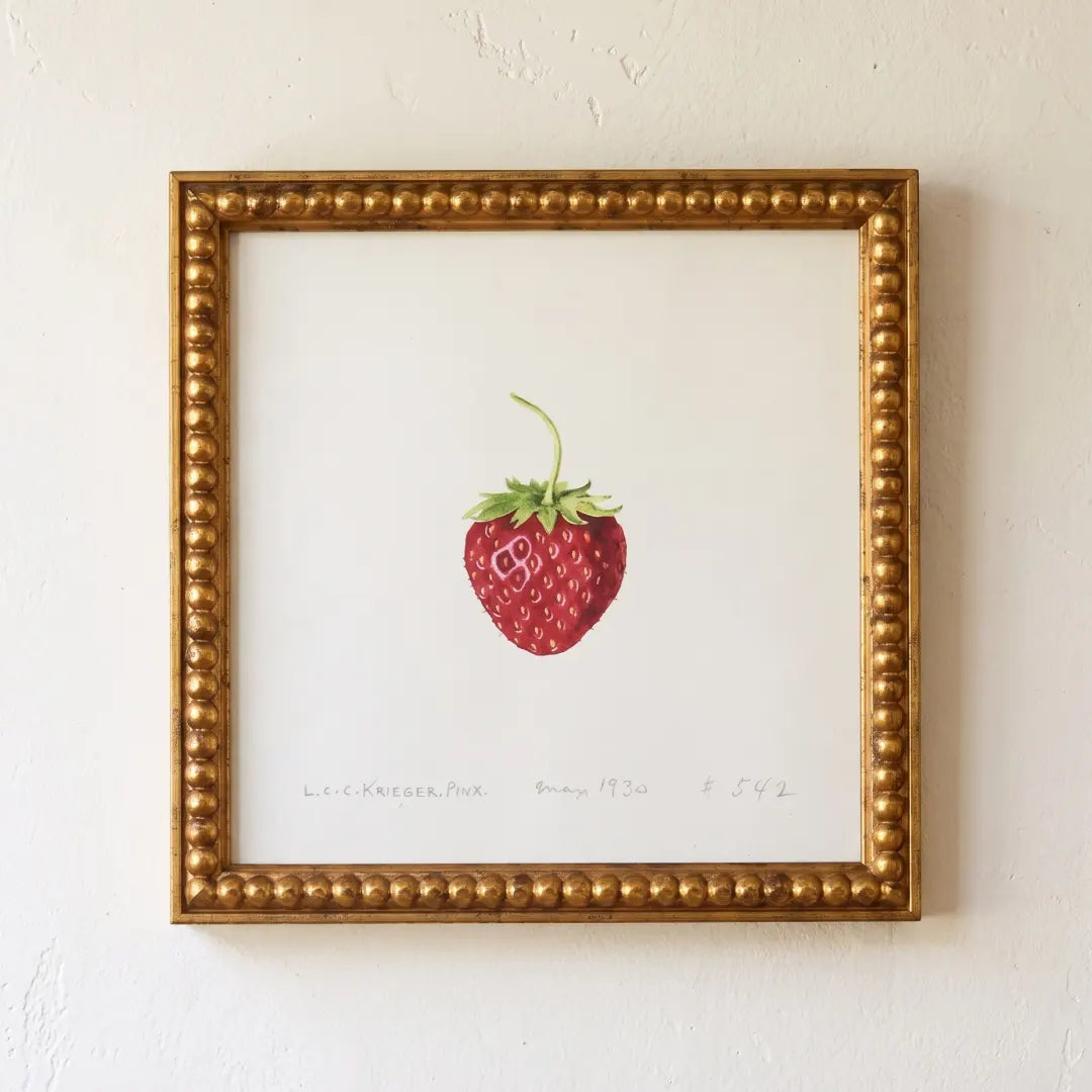 Strawberry framed print in a Large Gold Bead frame