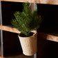 Faux Greenery In Hanging Paper Pot