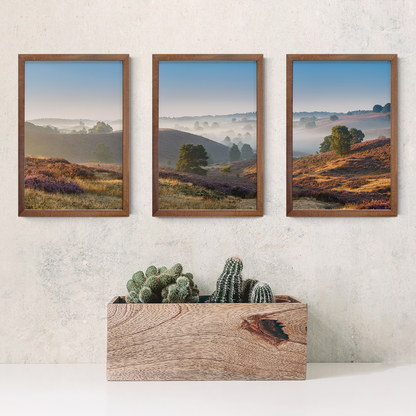 Open Spaces Triptych