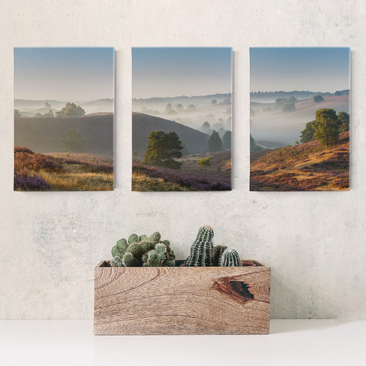 Open Spaces Wrapped Canvas Triptych
