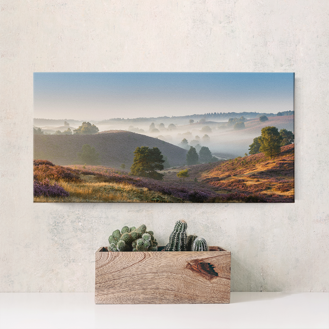 Open Spaces Wrapped Canvas