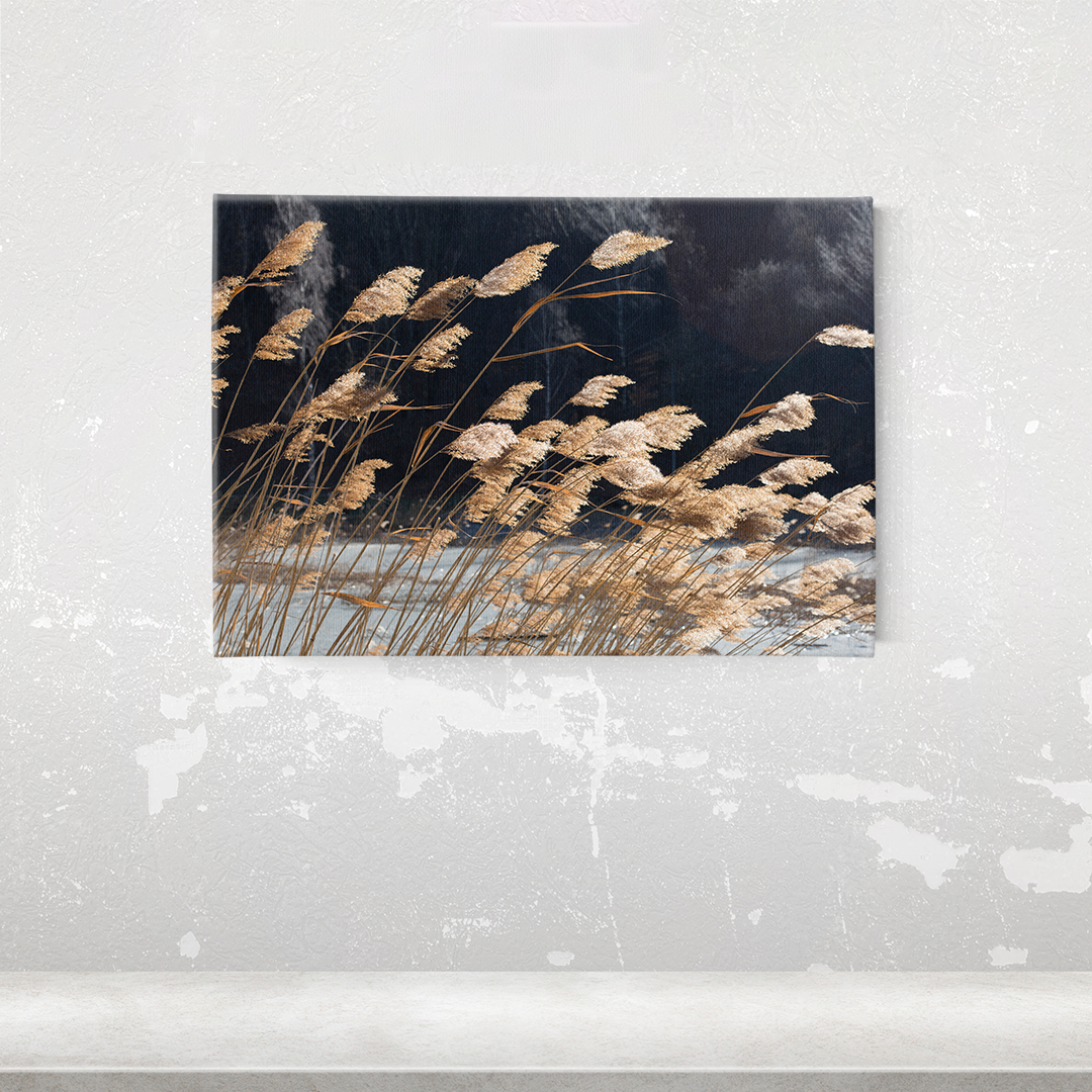 Windy Field Wrapped Canvas